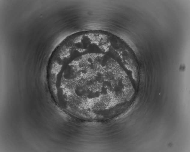 X0000101431023200808041147