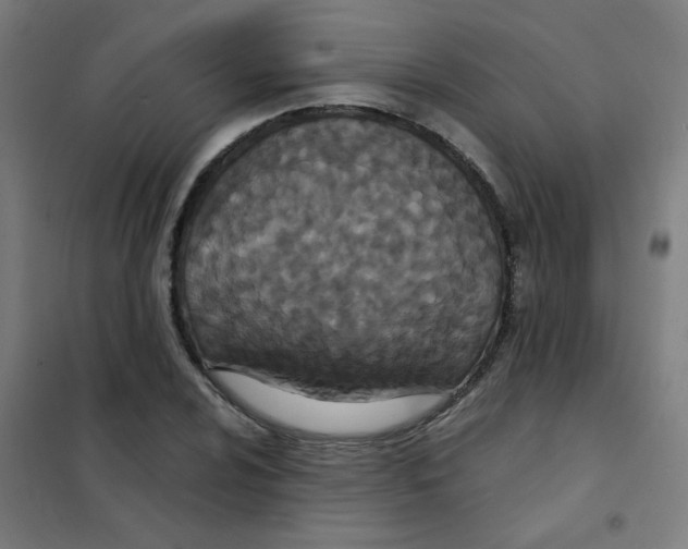 X0000101431024200808041147