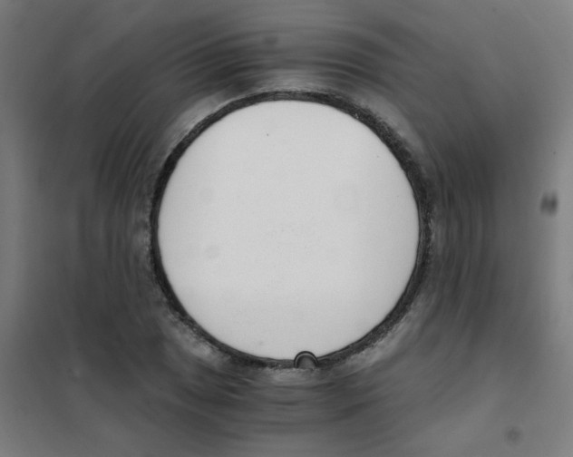 X0000101431025200808041147