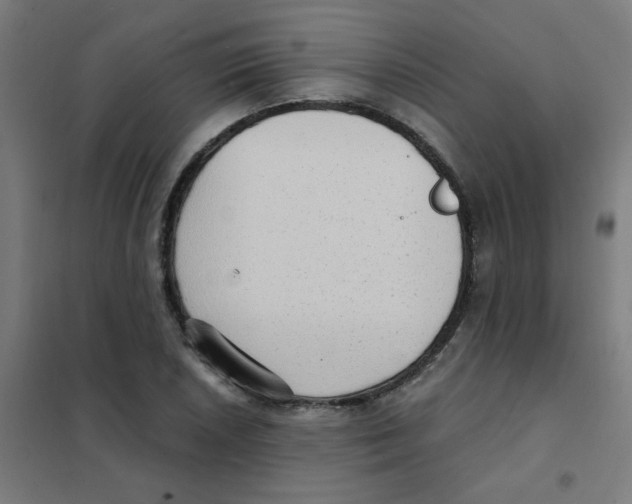 X0000101431026200808041147