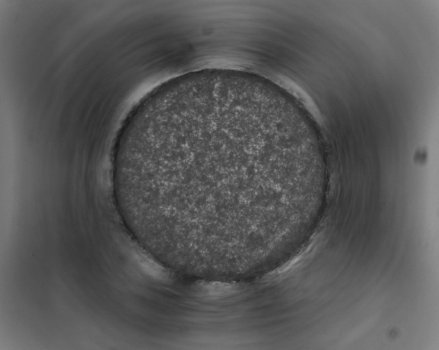 X0000101431027200808041147