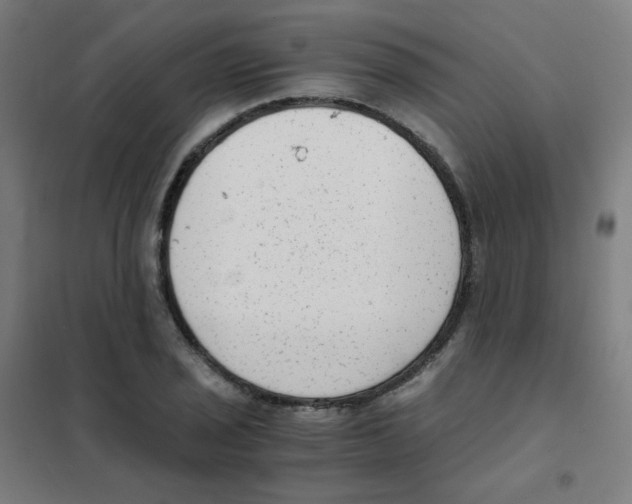 X0000101431029200808041147