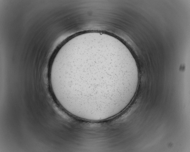 X0000101431030200808041147