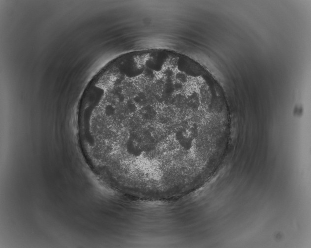 X0000101431031200808041147