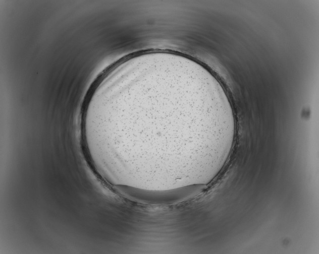 X0000101431032200808041147