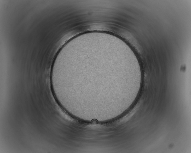 X0000101431033200808041147