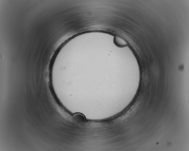 X0000101431034200808041147