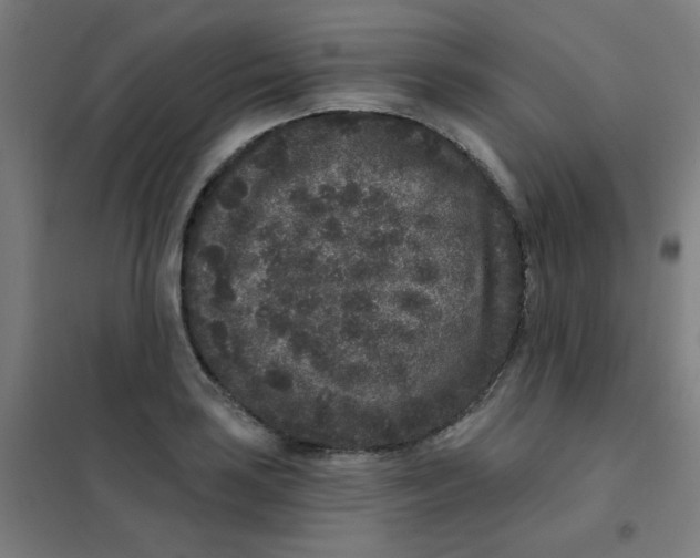 X0000101431035200808041147