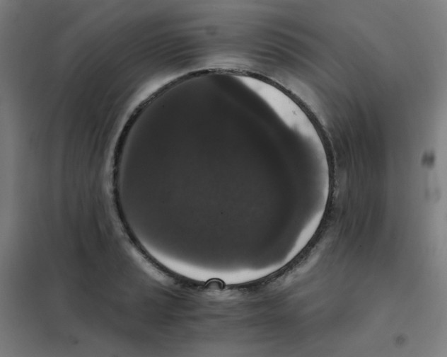 X0000101431037200808041147