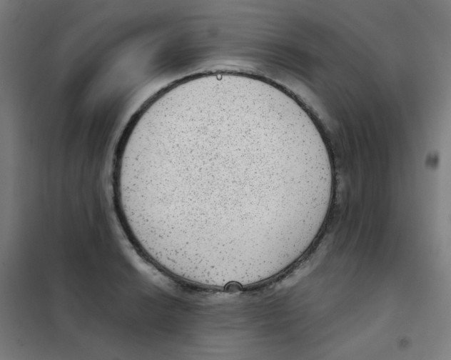 X0000101431038200808041147