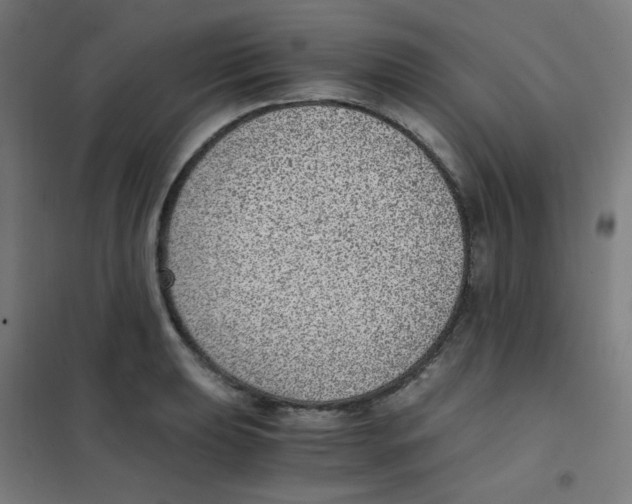 X0000101431039200808041147