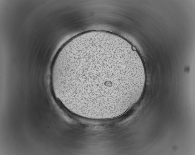 X0000101431040200808041147