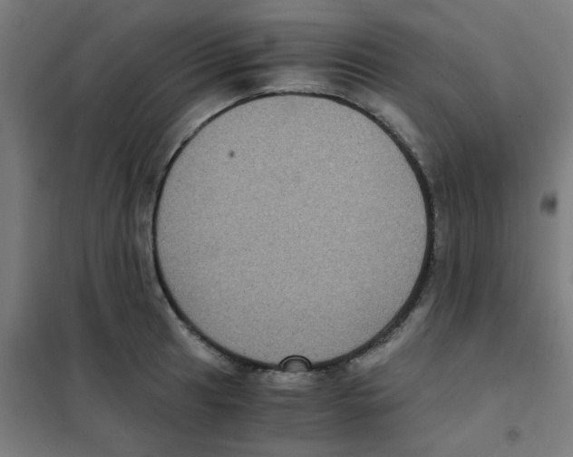 X0000101431041200808041147