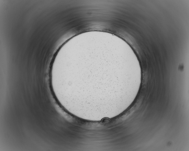 X0000101431042200808041147