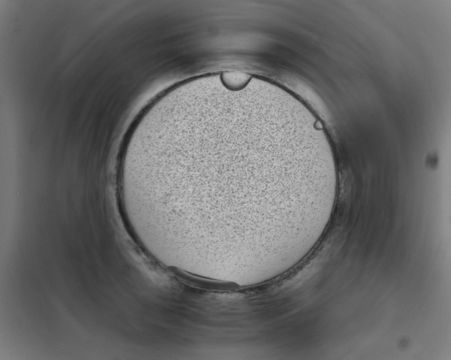 X0000101431043200808041147