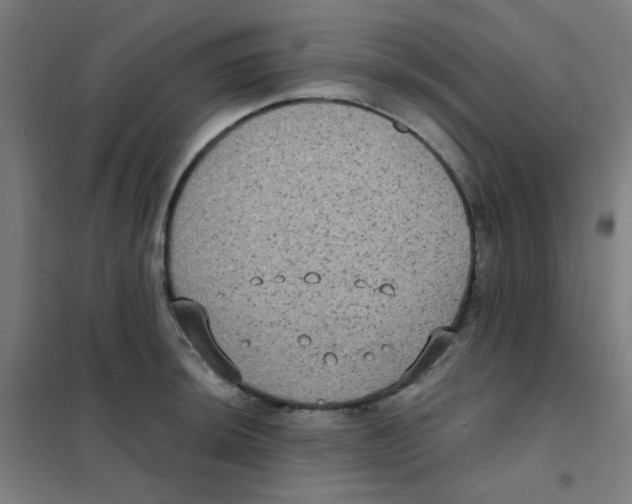 X0000101431044200808041147