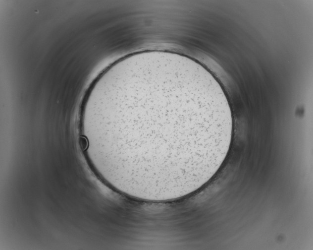 X0000101431046200808041147