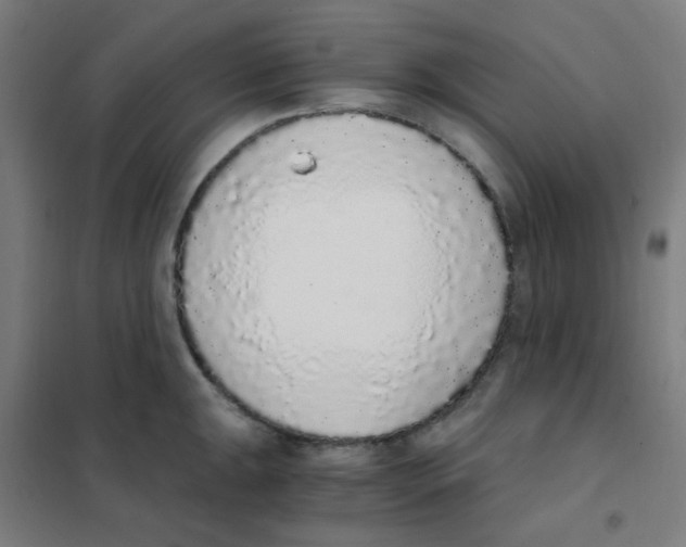 X0000101431047200808041147