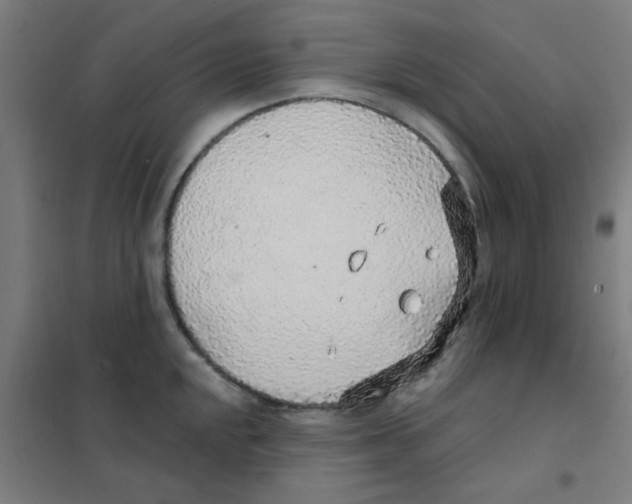 X0000101431048200808041147