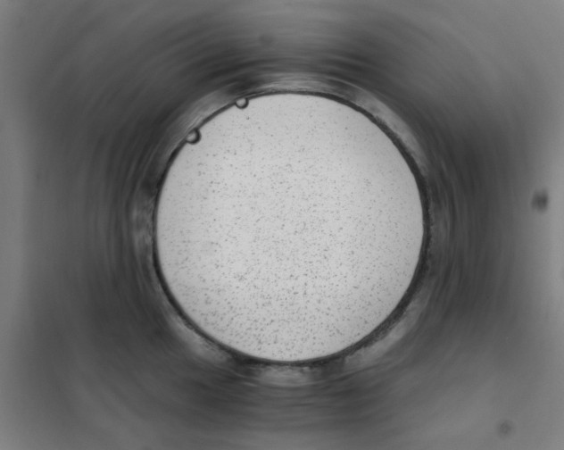 X0000101431049200808041147