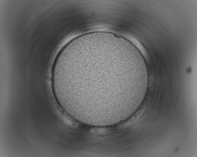 X0000101431051200808041147