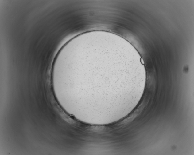 X0000101431052200808041147