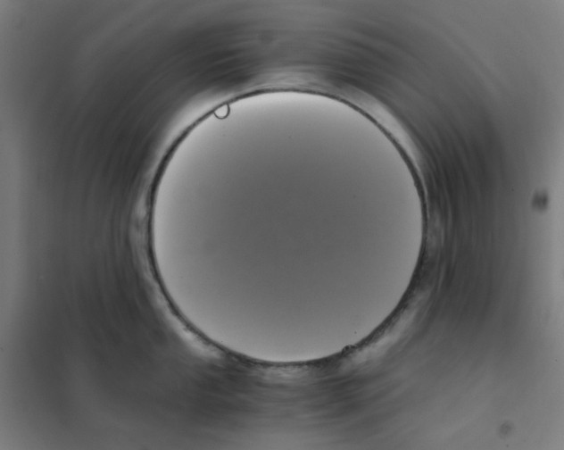 X0000101431053200808041147