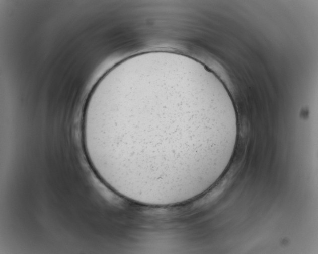 X0000101431054200808041147