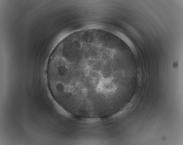 X0000101431055200808041147