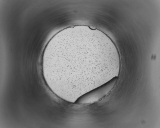 X0000101431056200808041147