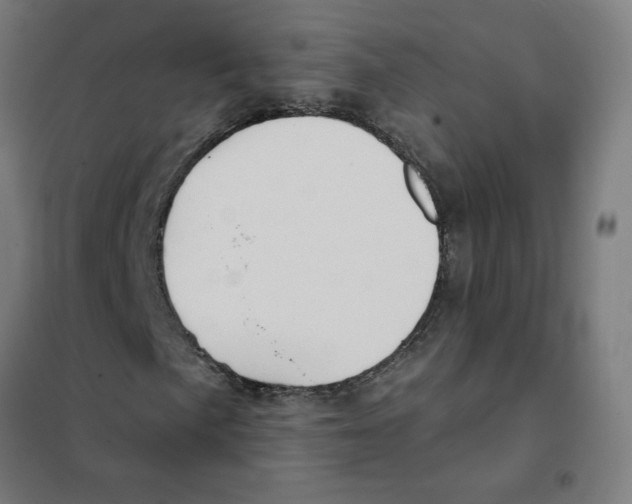 X0000101431057200808041146