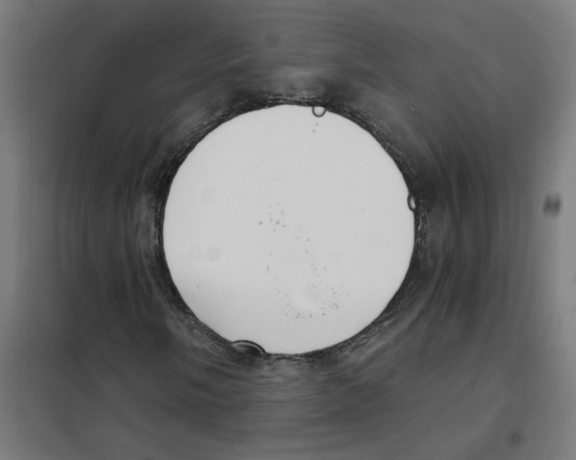 X0000101431058200808041146