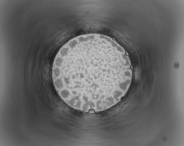 X0000101431059200808041146