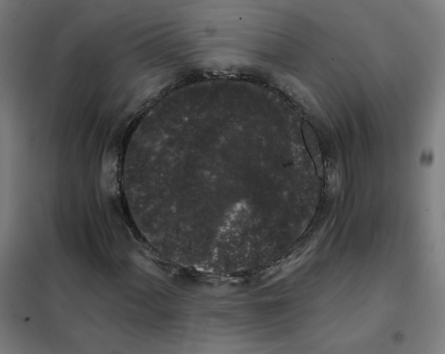 X0000101431060200808041146