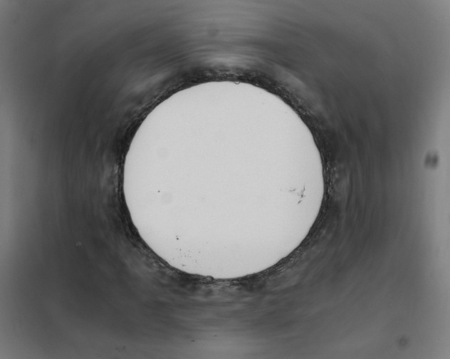 X0000101431061200808041146