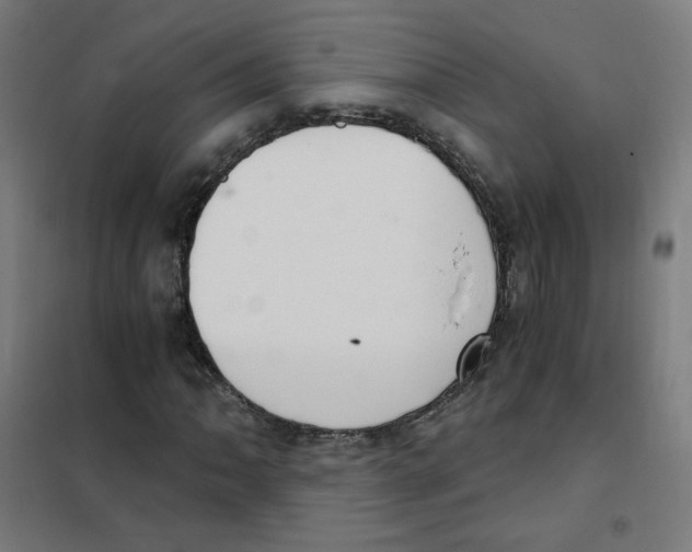 X0000101431062200808041146