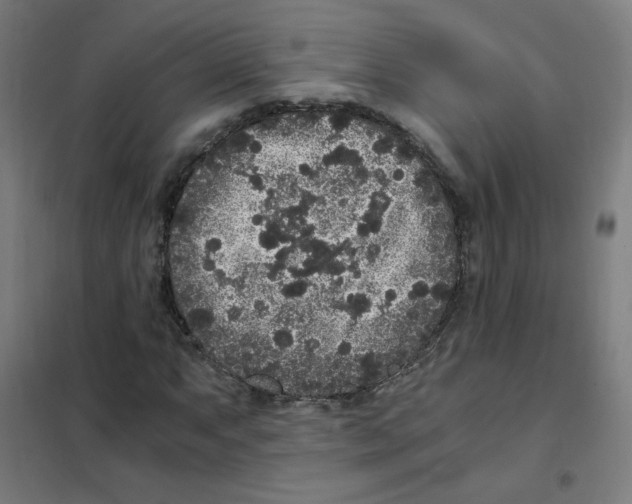 X0000101431063200808041146