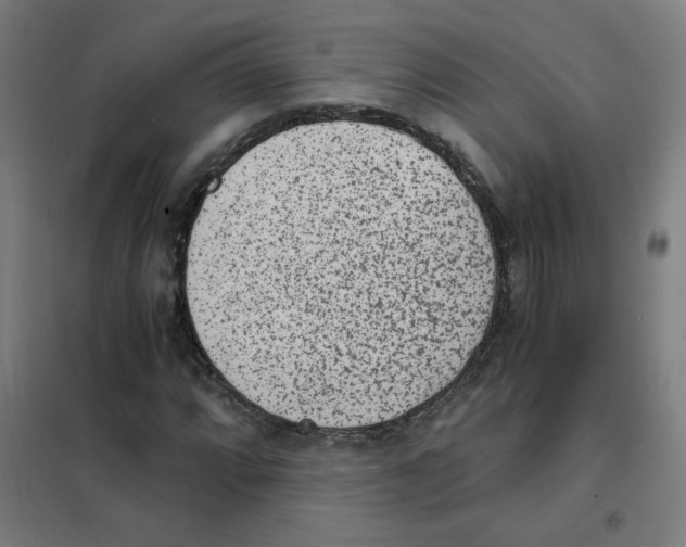 X0000101431064200808041146