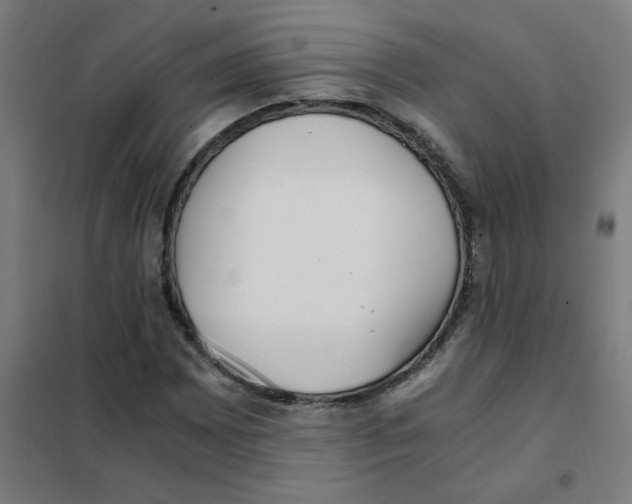 X0000101431065200808041146