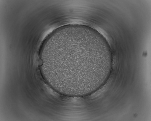 X0000101431067200808041146