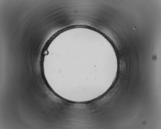 X0000101431068200808041146