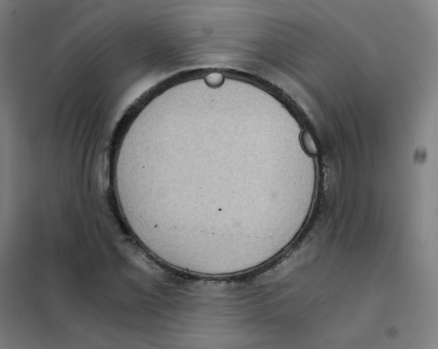 X0000101431069200808041146