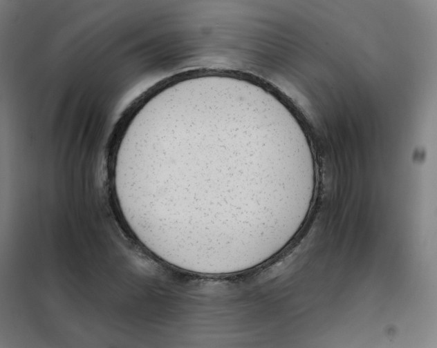 X0000101431070200808041146