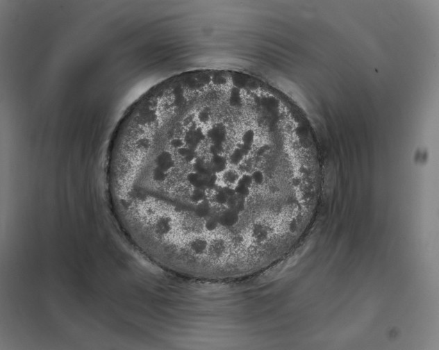 X0000101431071200808041146