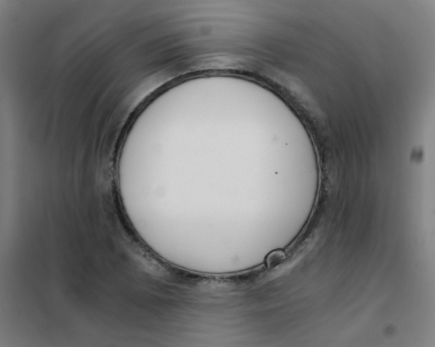 X0000101431073200808041146