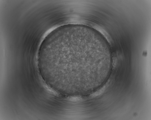 X0000101431074200808041146