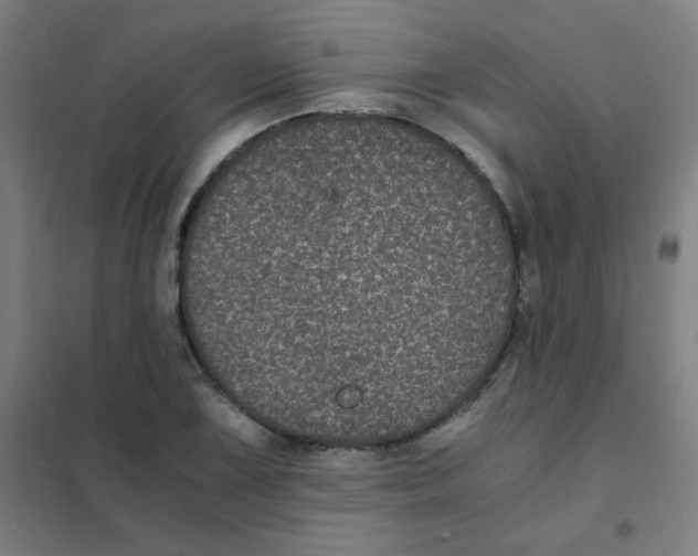 X0000101431075200808041146