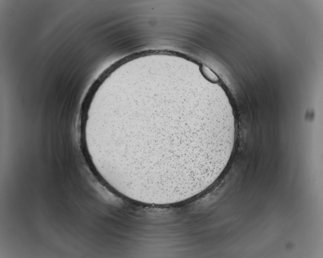 X0000101431076200808041146