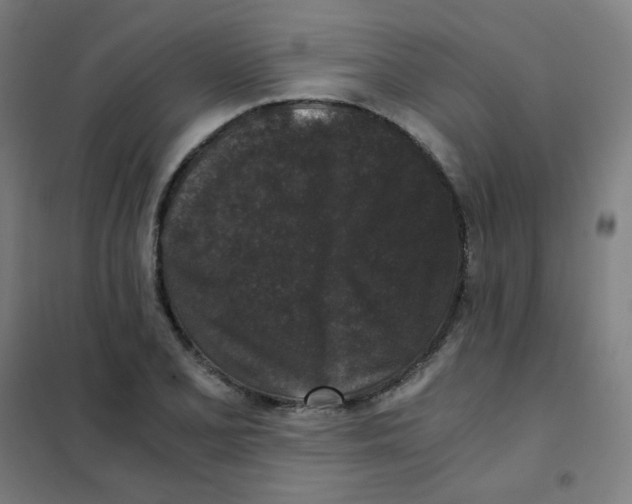 X0000101431077200808041146