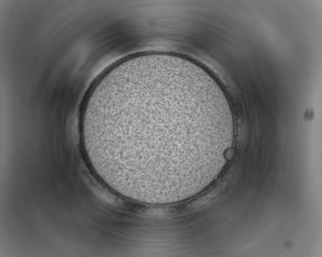 X0000101431078200808041146